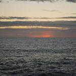 Cambria_0248 (November 05, 2011)